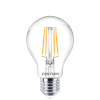 Light bulbs